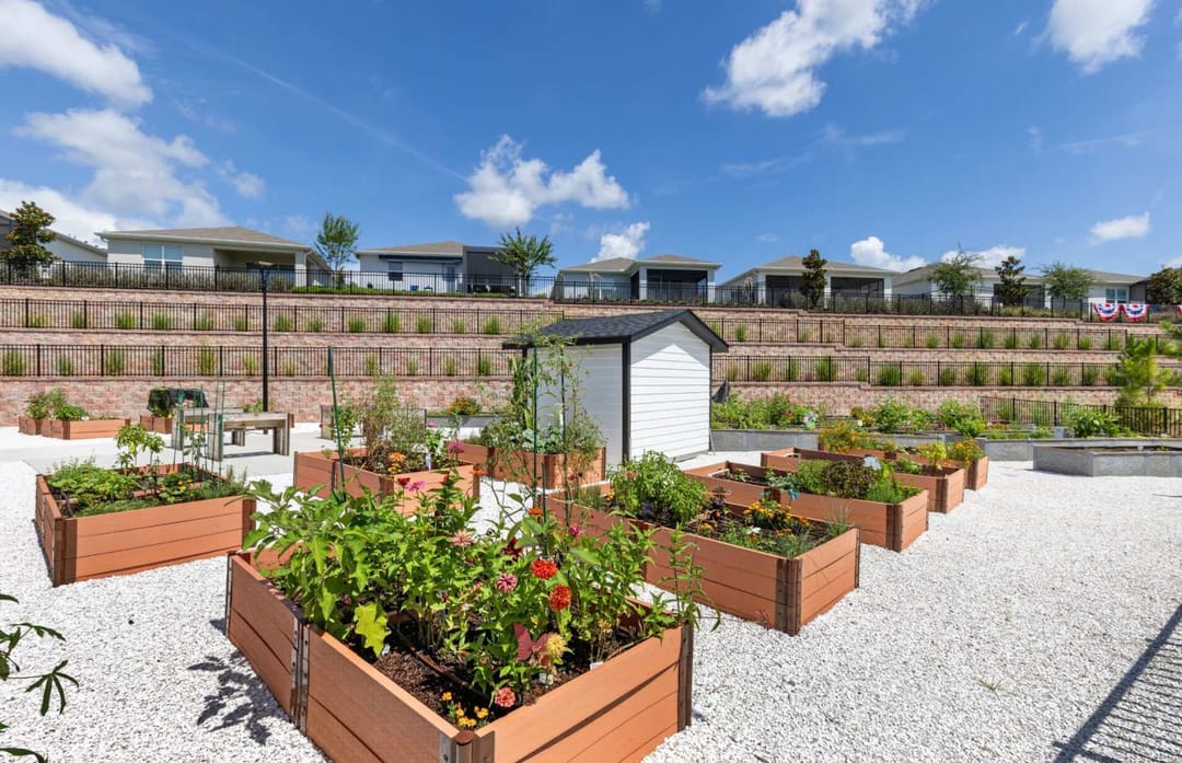 Del Webb Minneola — Visit Our Community Garden