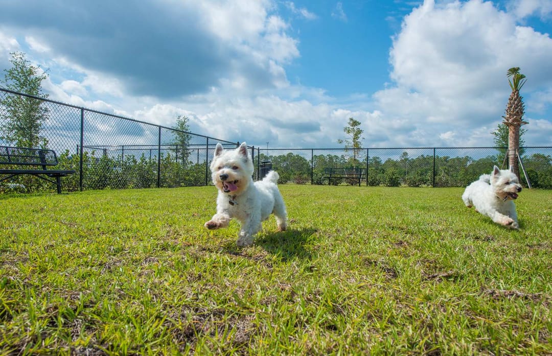 Emerald Pointe — Dog Park