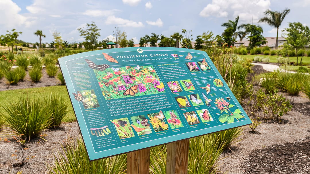 Windward Preserve — Monarch Butterfly Garden (National Wildlife Federation)