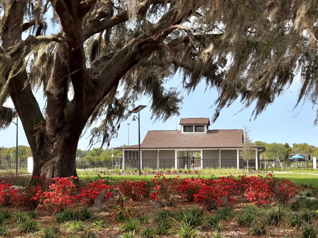 The Reserve at Hammock Oaks — Clubhouse
