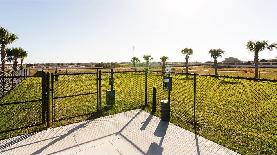 Wynnstone — Wynnstone dog park